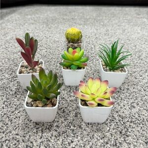 6 fake small succulents!